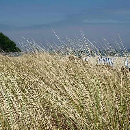Privatunterkunft Mit Terrasse Am Heideweg *
