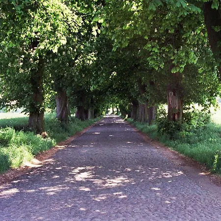 Mit Terrasse Am Heideweg Privatunterkunft Baabe