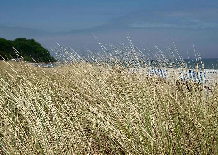 ホームステイ Mit Terrasse Am Heideweg *