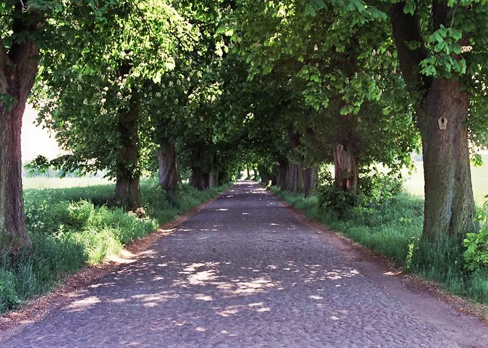 Mit Terrasse Am Heideweg ホームステイ バーベ